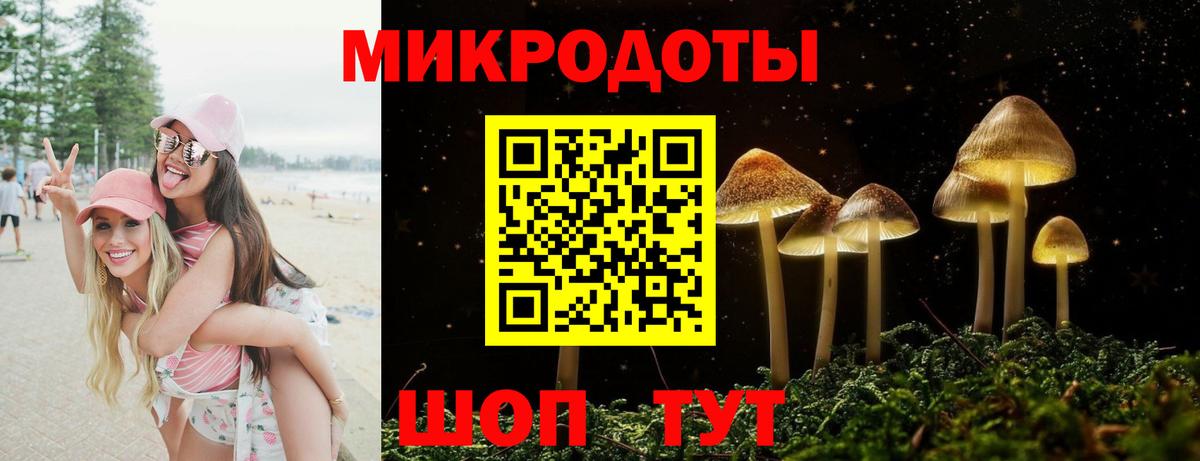 Вязьма  Псилоцибиновые грибы GOLDEN TEACHER  Вход с VPN 