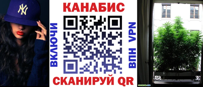 Бошки Шишки THC 21%  продажа наркотиков  ссылка на мегу ССЫЛКА  Вязьма 